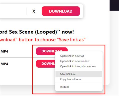 Freier Xvideos Downloader Online